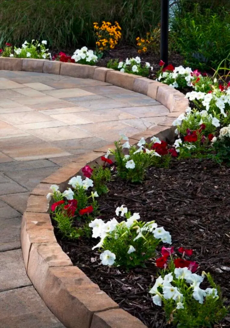 Curved paver patio edge with red and white petunias in black mulch bed