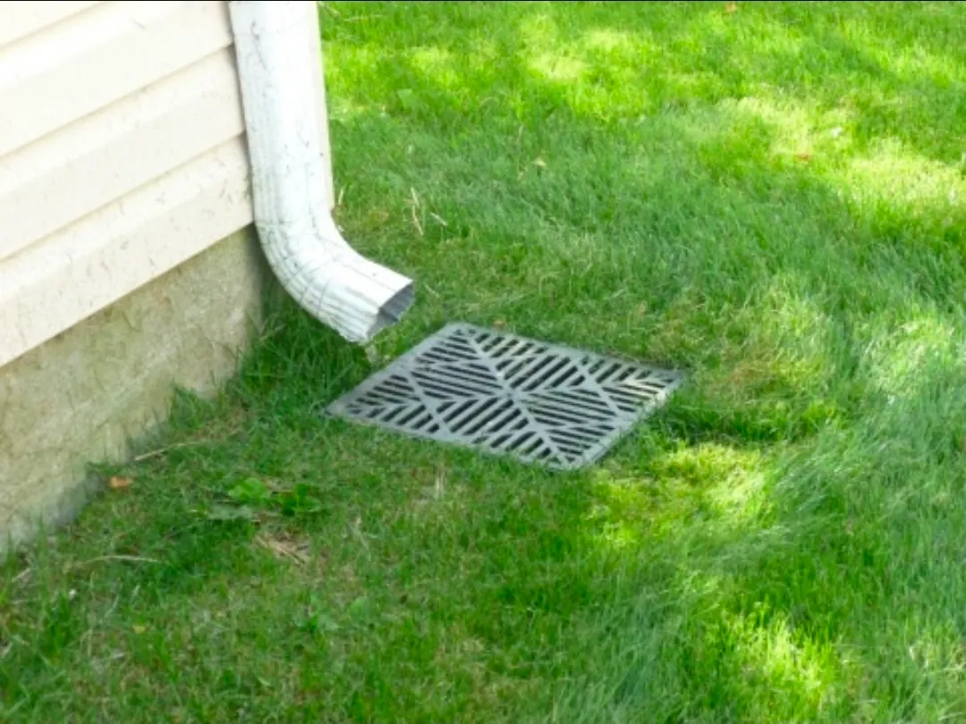 Decorative catch basin drain in healthy green lawn
