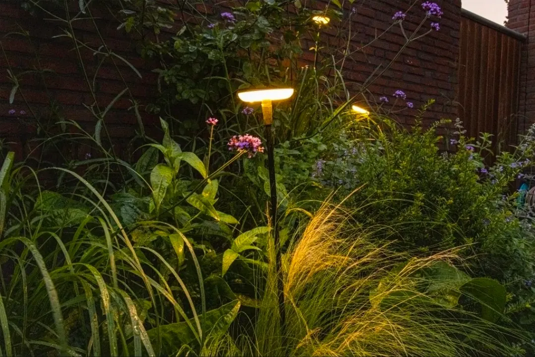 Pathway lights illuminating garden bed with purple flowers at dusk