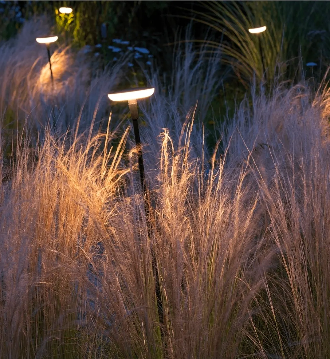 Mushroom-style pathway lights glowing through ornamental grasses at night