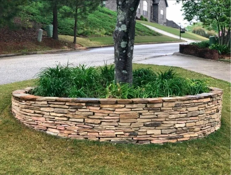 Curved dry-stack stone retaining wall around tree with ornamental grasses